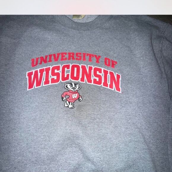 Vintage The Game University of Wisconsin Gray Crewneck Sweatshirt - Picture 2 of 4